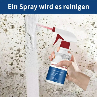 Schimmel-Entferner- und Mehltau-Entferner Schaumspray