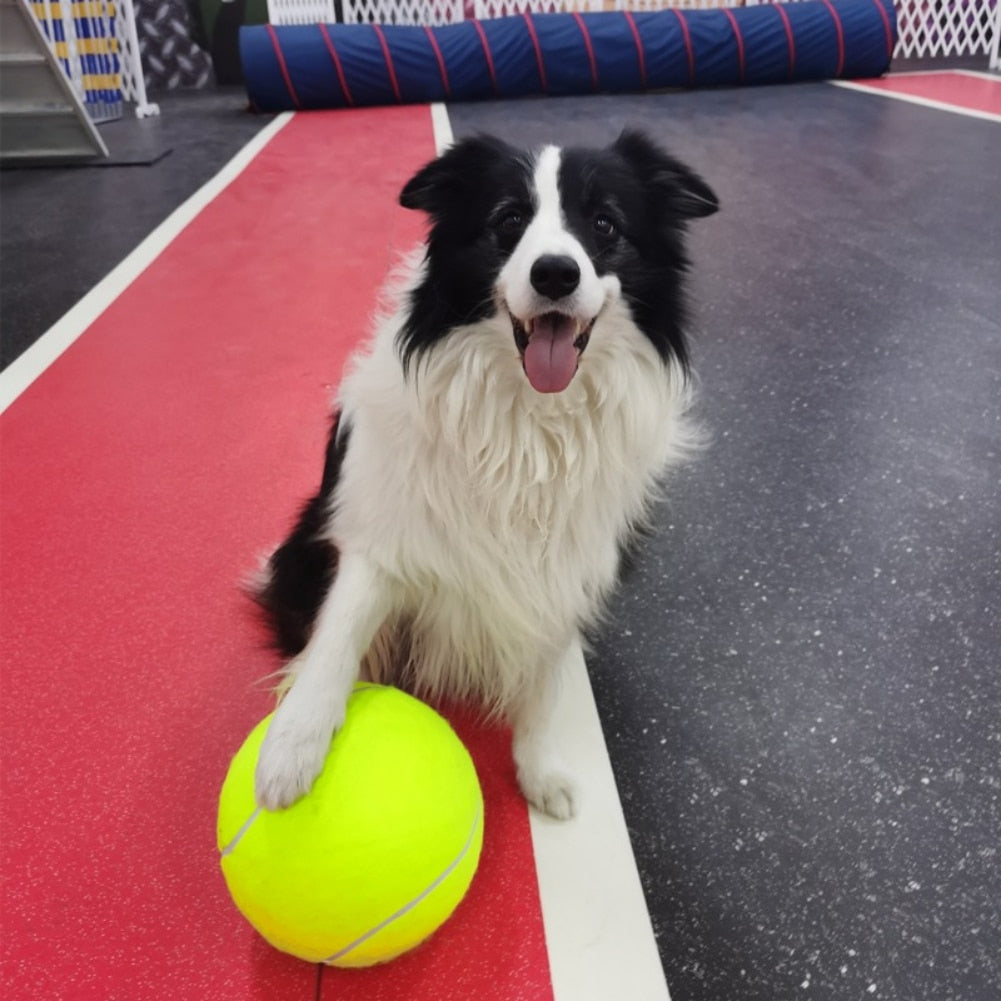 Opblaasbare tennisbal | Hondenspeelgoed