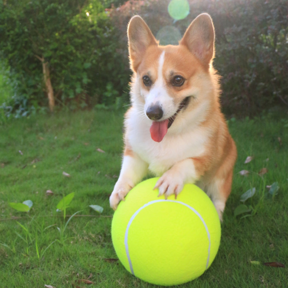 Opblaasbare tennisbal | Hondenspeelgoed