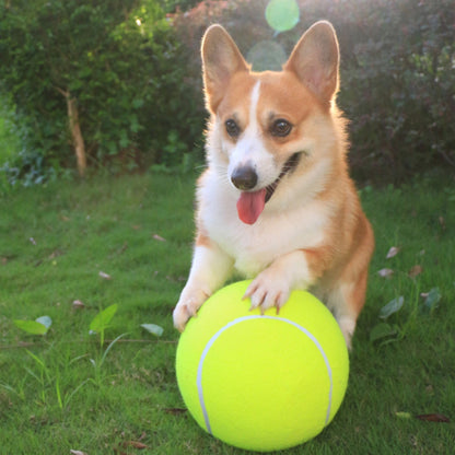 Opblaasbare tennisbal | Hondenspeelgoed