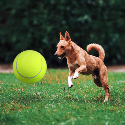 Opblaasbare tennisbal | Hondenspeelgoed