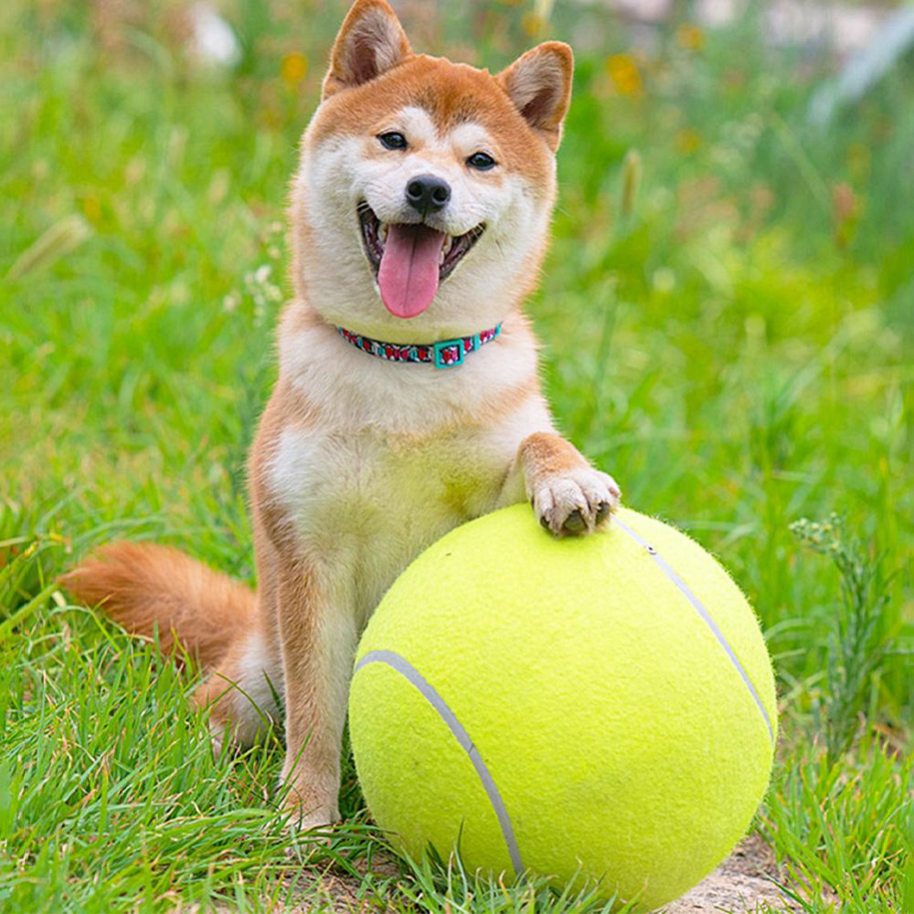 Opblaasbare tennisbal | Hondenspeelgoed