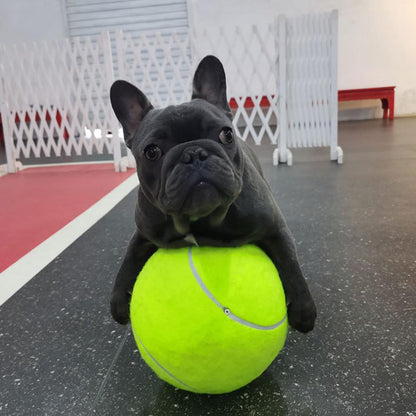 Opblaasbare tennisbal | Hondenspeelgoed